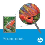 HP P1005,P1006 Original 2-Pack Black Toner Cartridges CB435A/35A - Image 6