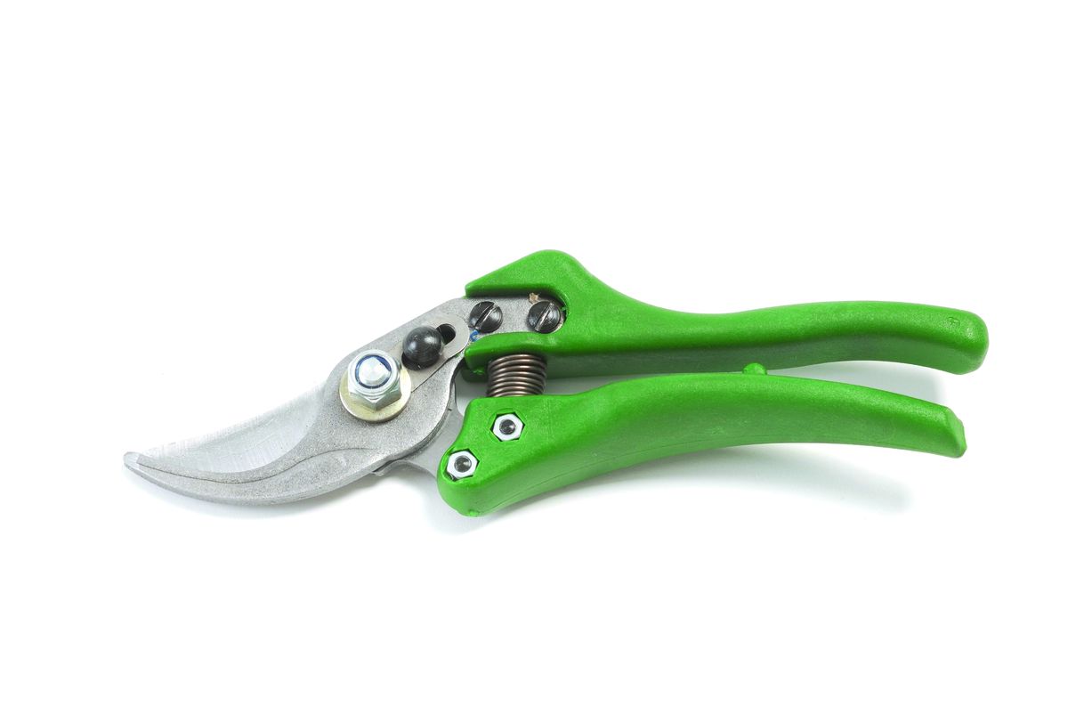 6001844021422-zoom.jpgtakealot-32819475-1.jpg Lasher - Professional Secateurs Pruners - Image 1