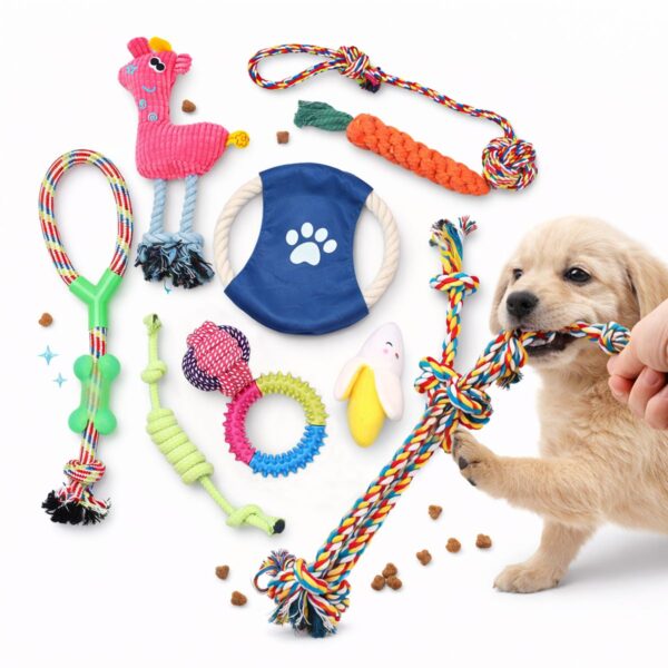 10 Piece Dog Toy Set for Puppy Play and Teeth Cleaning