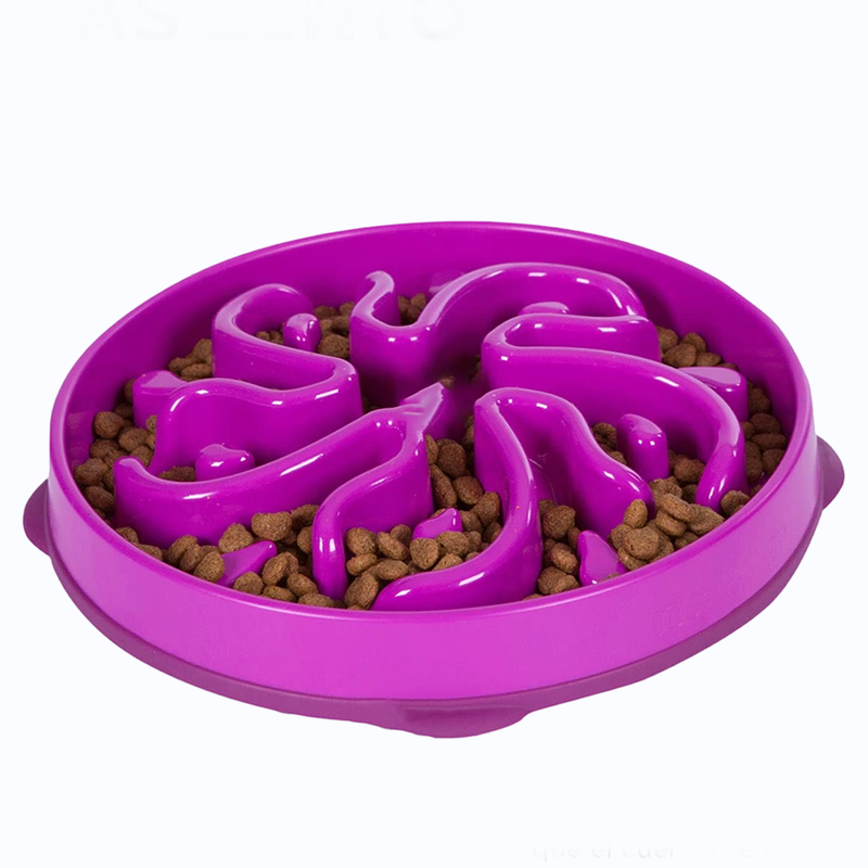 Large Slow Feeder Dog Bowl Large Slow Feeder Dog Bowl