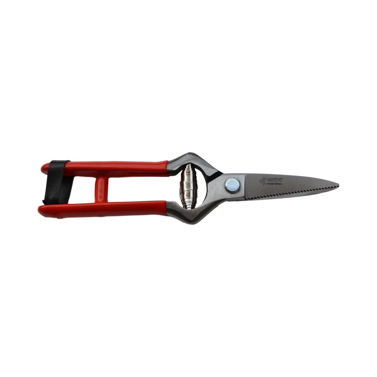 s-zoom.filetakealot-70295066-1.jpg Carpa Garden Shear for Flowers and Harvesting - Image 1